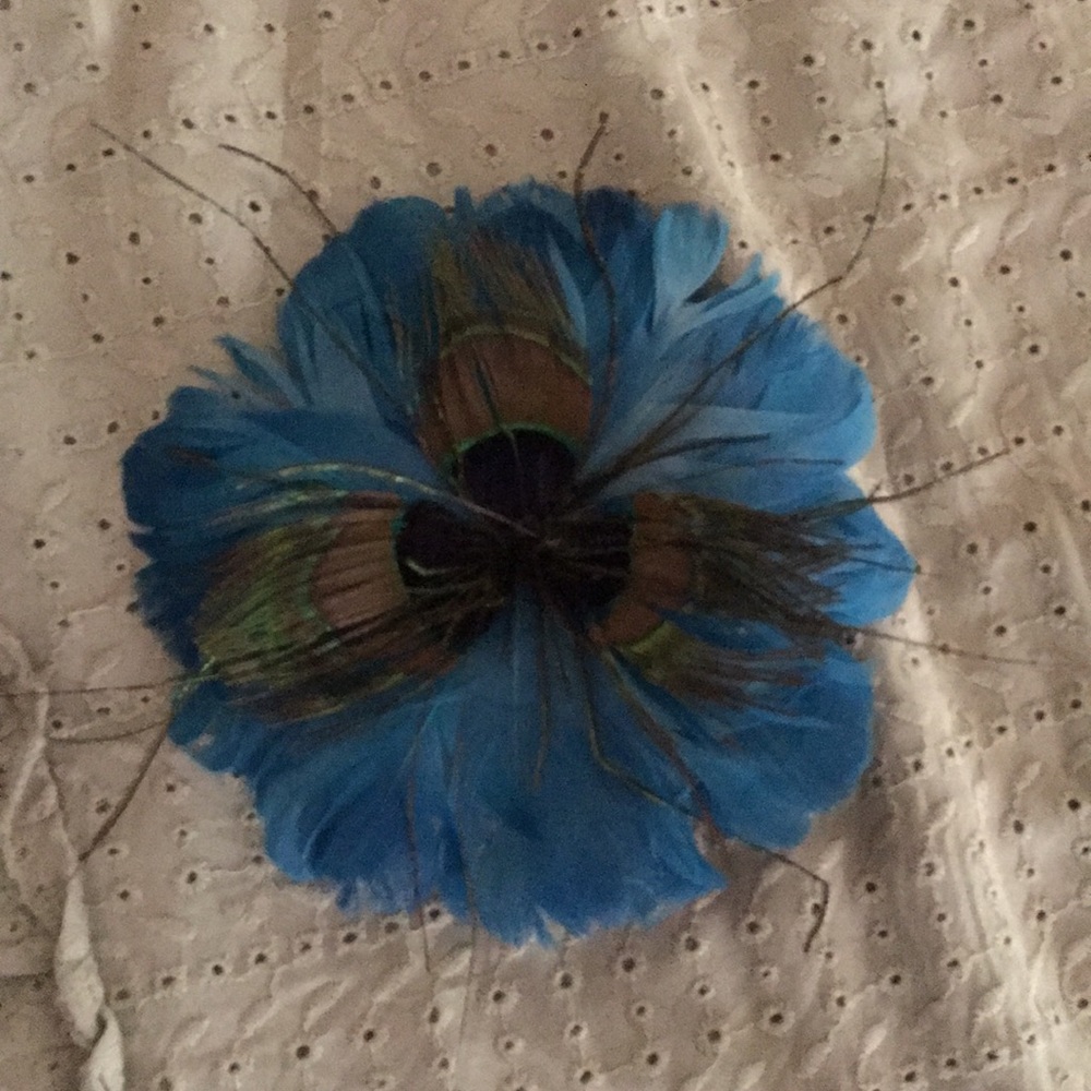 Feather hair clip